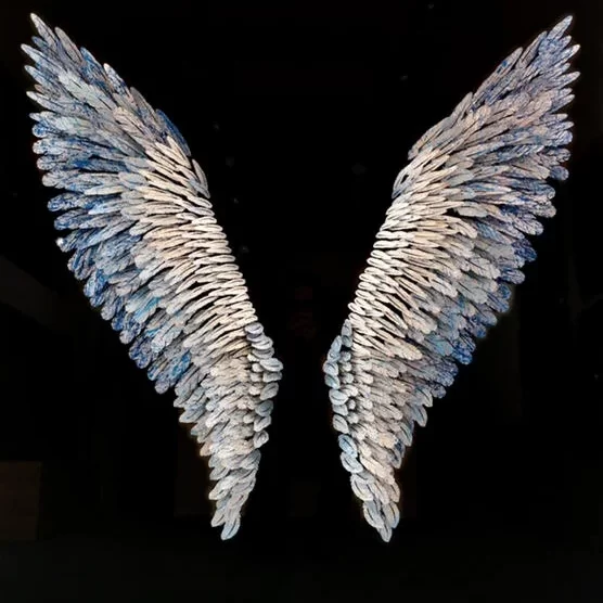 Angel Wing - Joel Amit