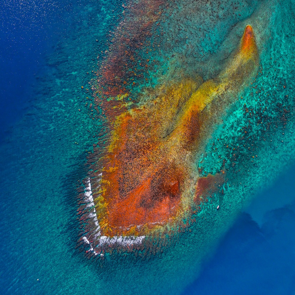 Regis-Lesieur_LES-FONDS-MARINS-01