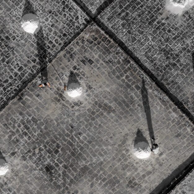 Regis-Lesieur_LES-SALINES-DE-TAMARIN-Ltd-Edition_25.1-x-60-cm